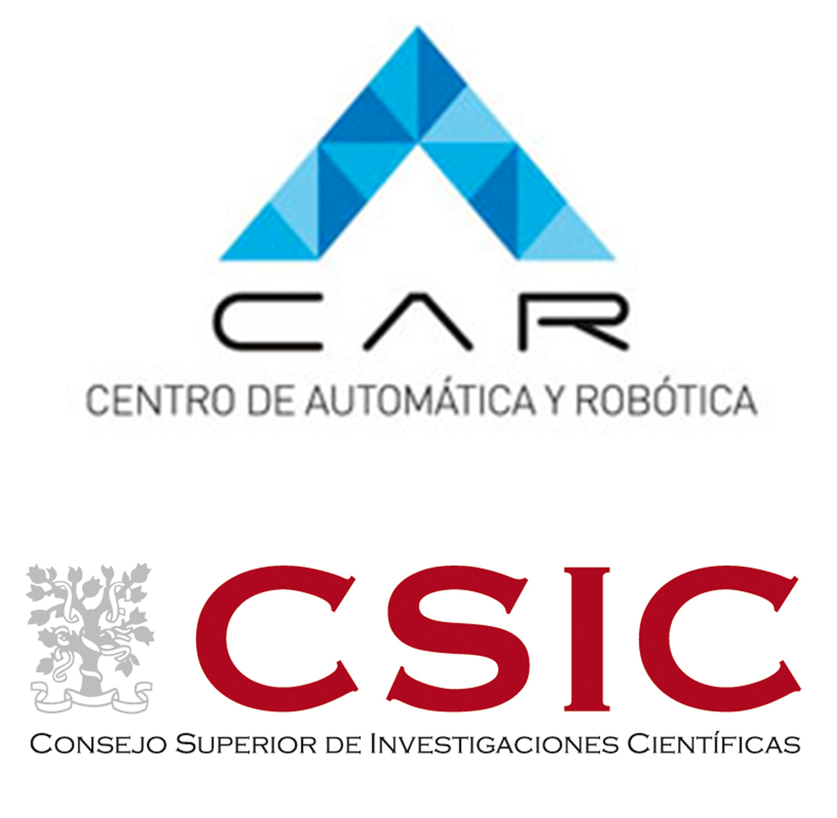 CAR CSIC Logo